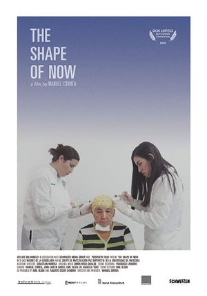 The Shape of Now's poster