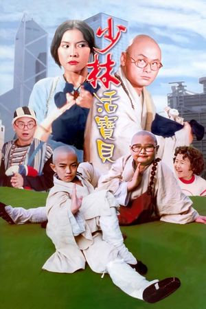 Shao Lin huo bao bei's poster