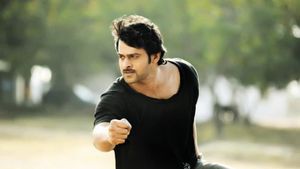 Darling's poster