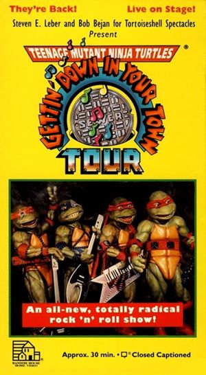 Teenage Mutant Ninja Turtles: Getting Down In Your Town's poster
