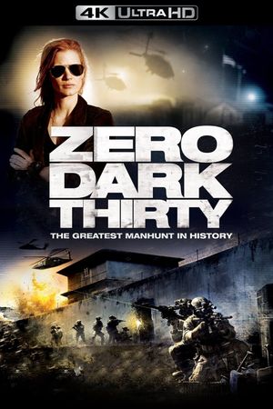 Zero Dark Thirty's poster
