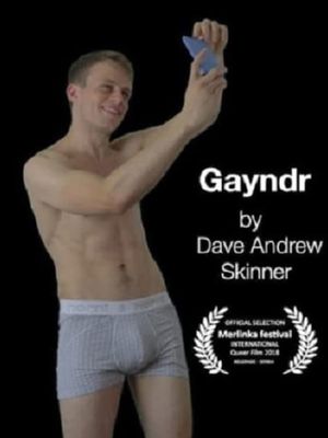 Gayndr II's poster