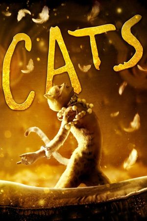 Cats's poster