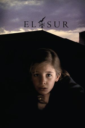 El Sur's poster