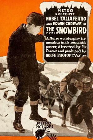 The Snowbird's poster
