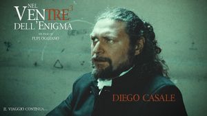 Nel ventre dell'enigma's poster