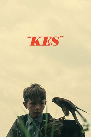 Kes's poster