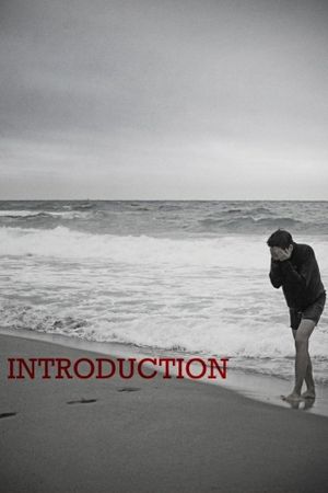 Introduction's poster