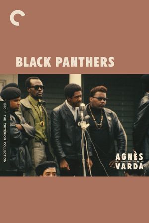 Black Panthers's poster