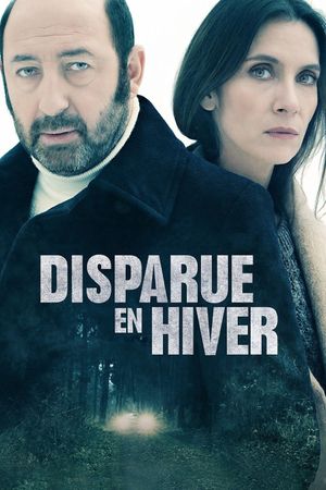 Disappeared in Winter's poster