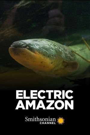 Electric Amazon's poster