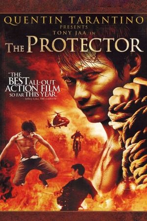 The Protector's poster