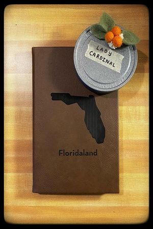 Floridaland's poster