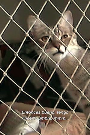 In this quarantine's poster