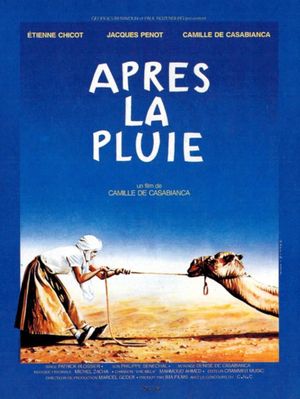Après la pluie's poster