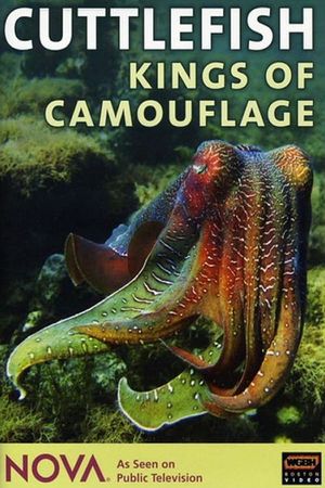 Cuttlefish: Kings of Camouflage's poster