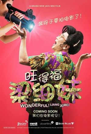 Wonderful! Liang Xi Mei the Movie's poster image