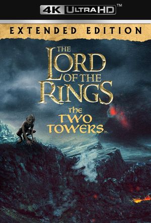 The Lord of the Rings: The Two Towers's poster