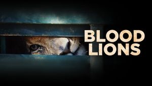 Blood Lions's poster