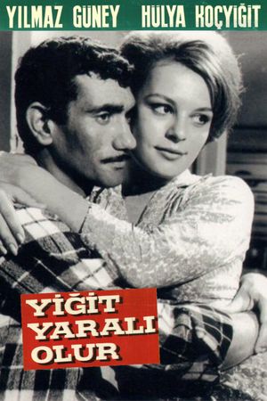 Yigit yarali olur's poster