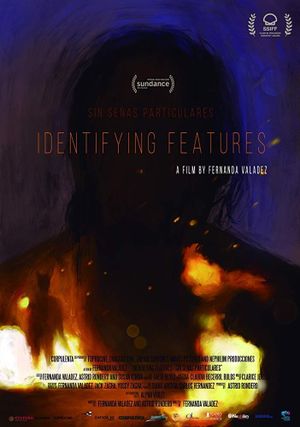 Identifying Features's poster