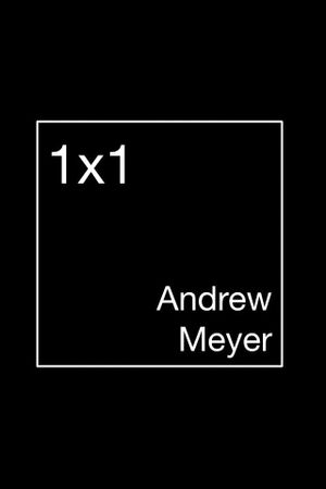 1 x 1's poster