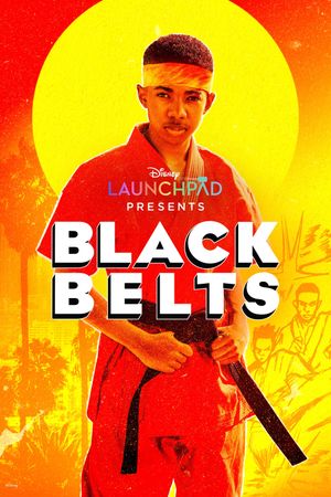 Black Belts's poster image