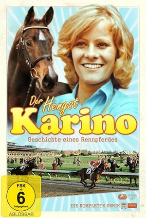 Karino's poster image