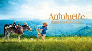 My Donkey, My Lover & I's poster