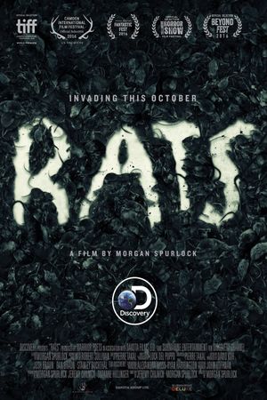 Rats's poster