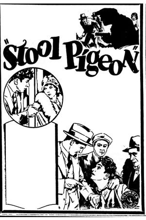 Stool Pigeon's poster