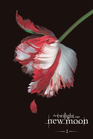 The Twilight Saga: New Moon's poster