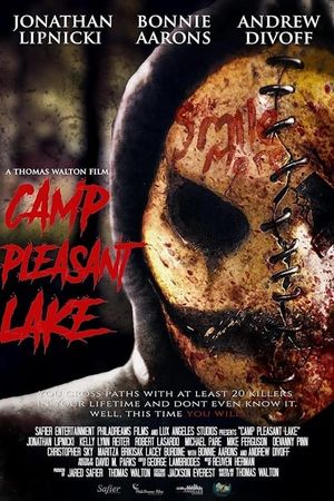 Camp Pleasant Lake's poster