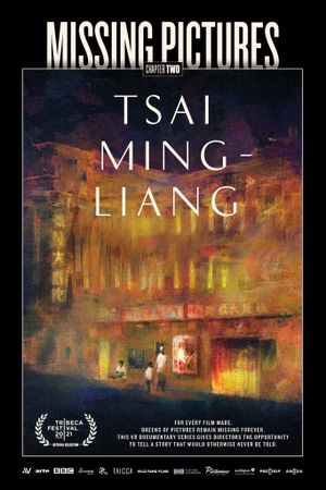 Missing Pictures's poster