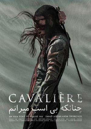 Cavalière's poster