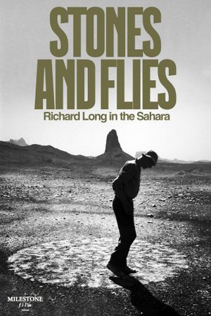 Stones and Flies: Richard Long in the Sahara's poster