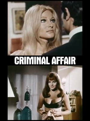 Criminal Affair's poster