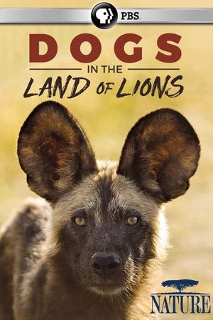 Dogs in the Land of Lions's poster
