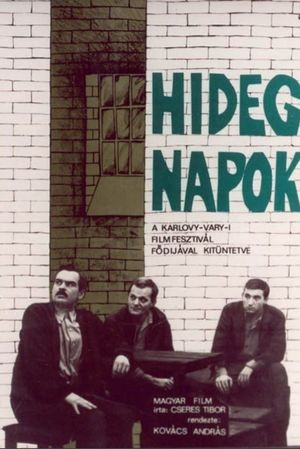 Hideg napok's poster