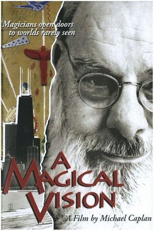 A Magical Vision's poster