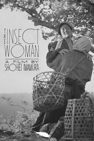 The Insect Woman's poster