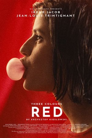 Three Colors: Red's poster