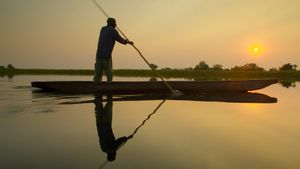 Into the Okavango's poster