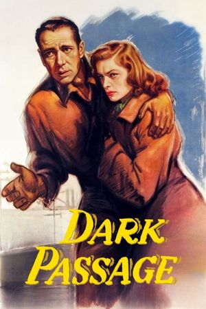 Dark Passage's poster