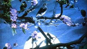 The Nightingale's Voice's poster