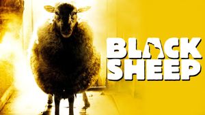 Black Sheep's poster
