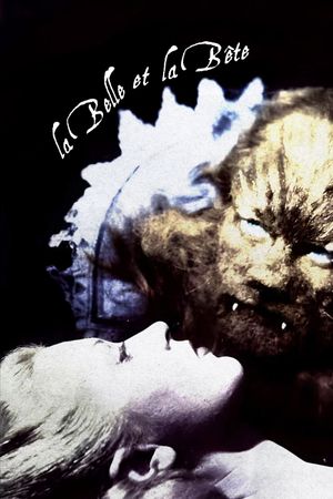 Beauty and the Beast's poster