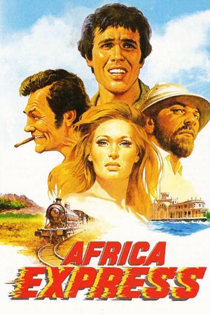 Africa Express's poster