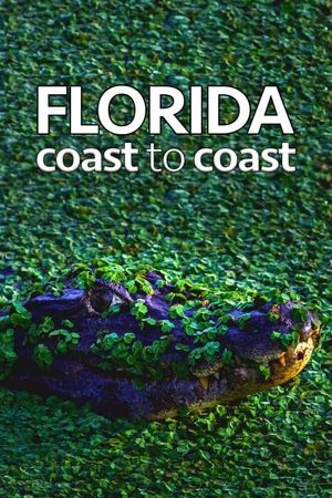 Florida Coast To Coast's poster