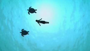 The Red Turtle's poster
